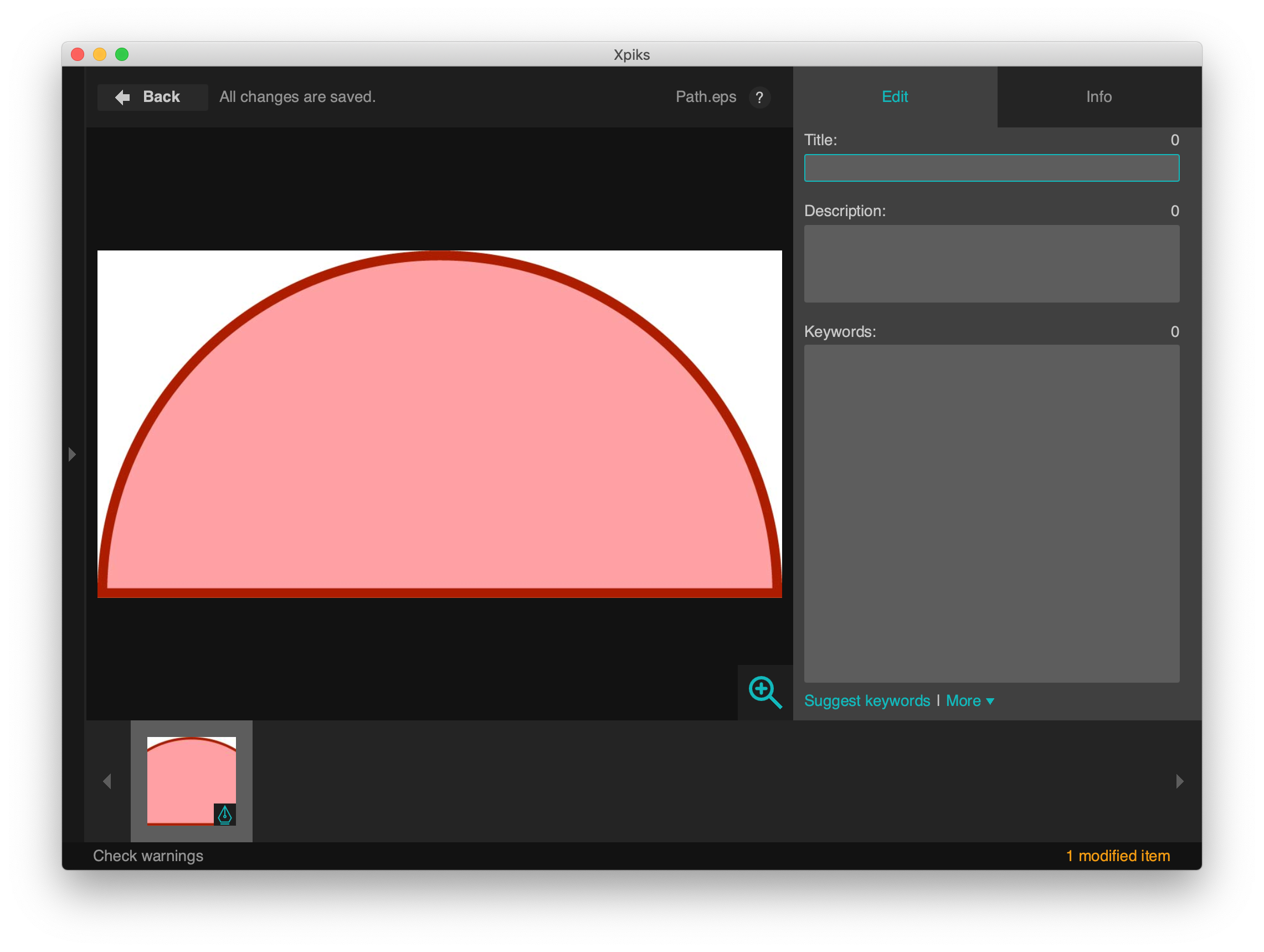 Open vector in Xpiks