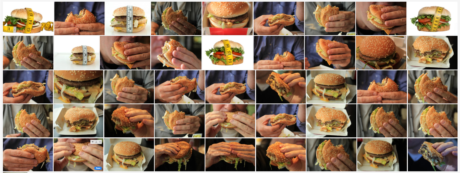 Burger search results