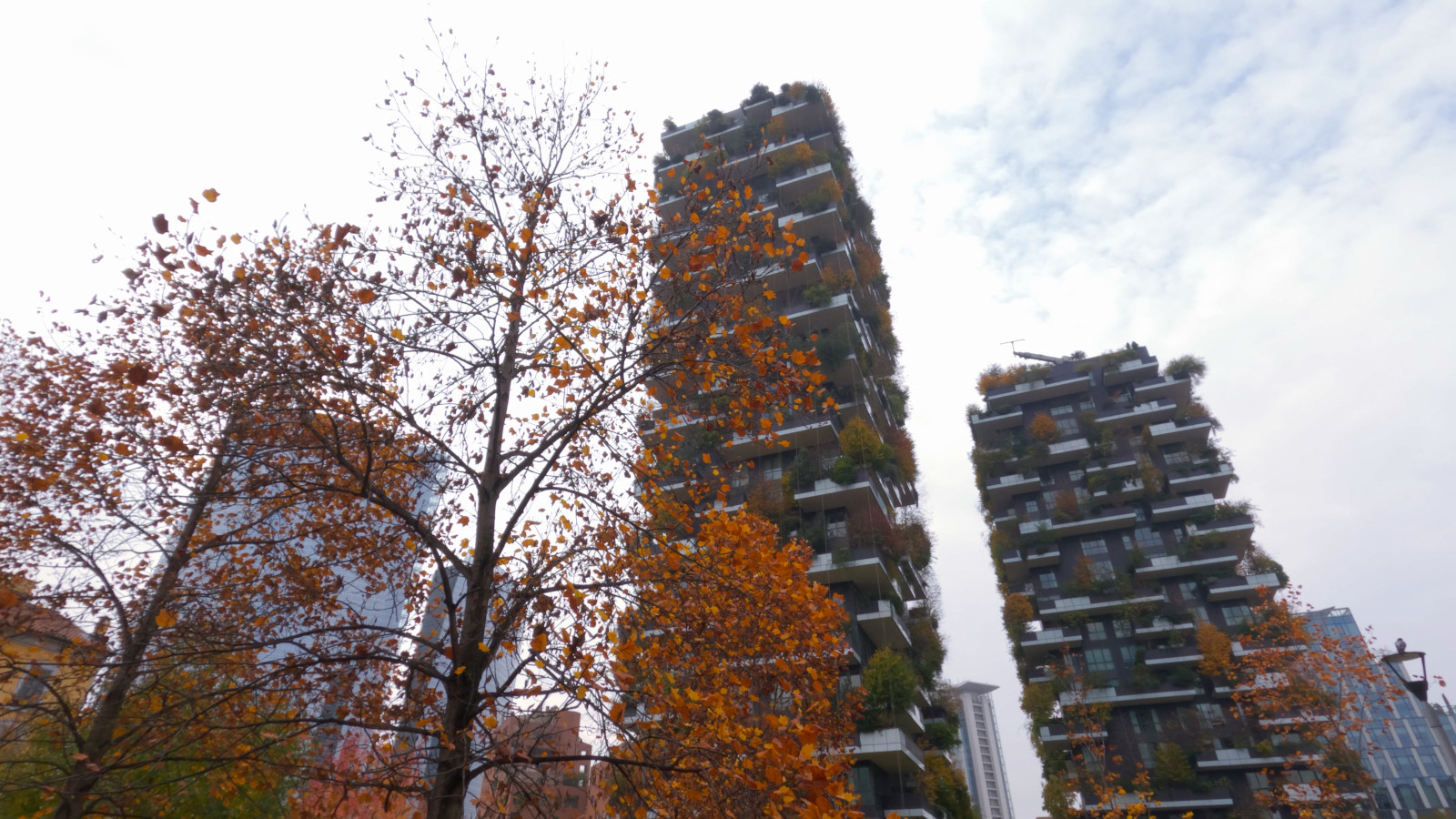 Color correction example