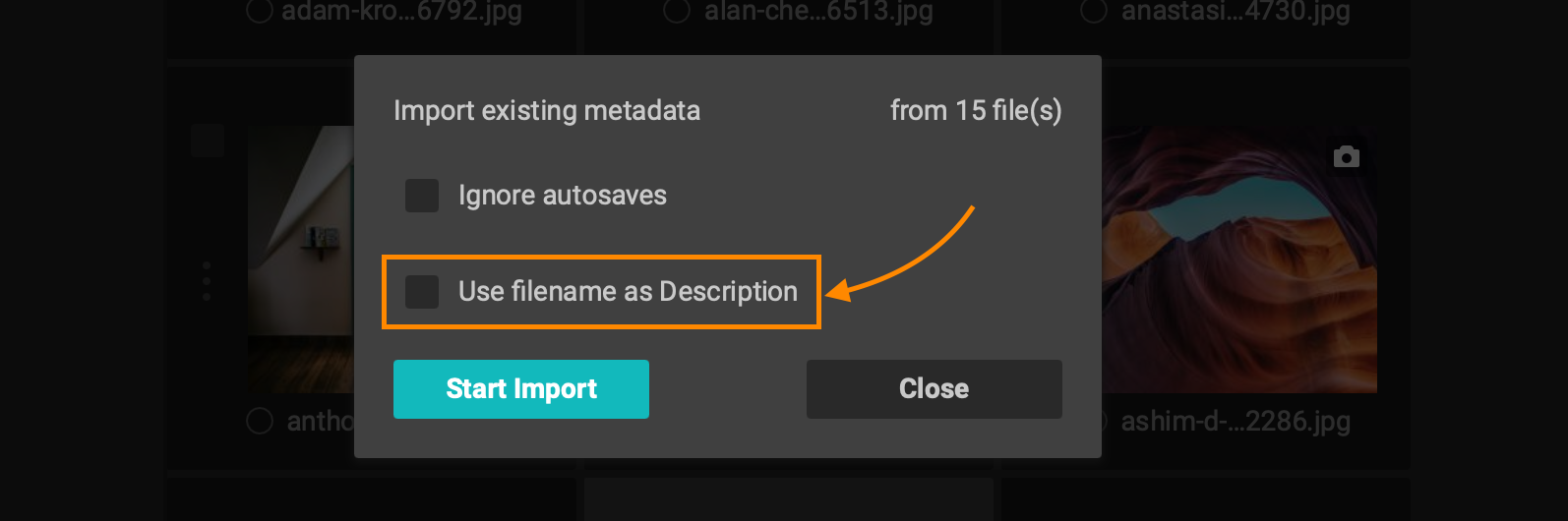 Filename description
