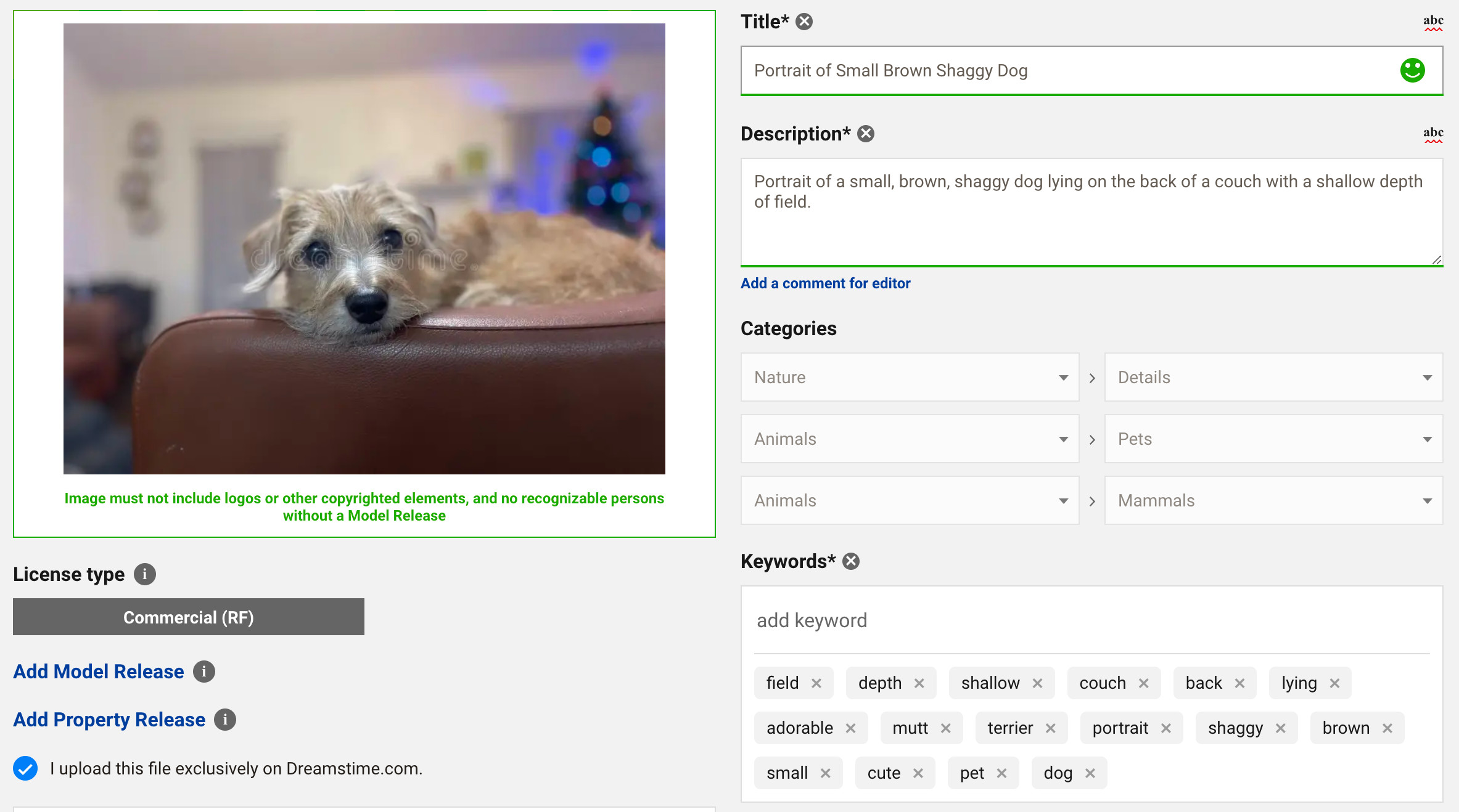 Dreamstime keywording