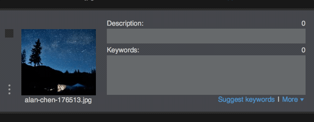 Presets autocomplete 1