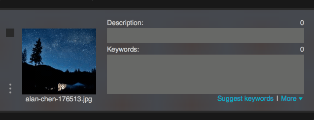 Presets autocomplete 2