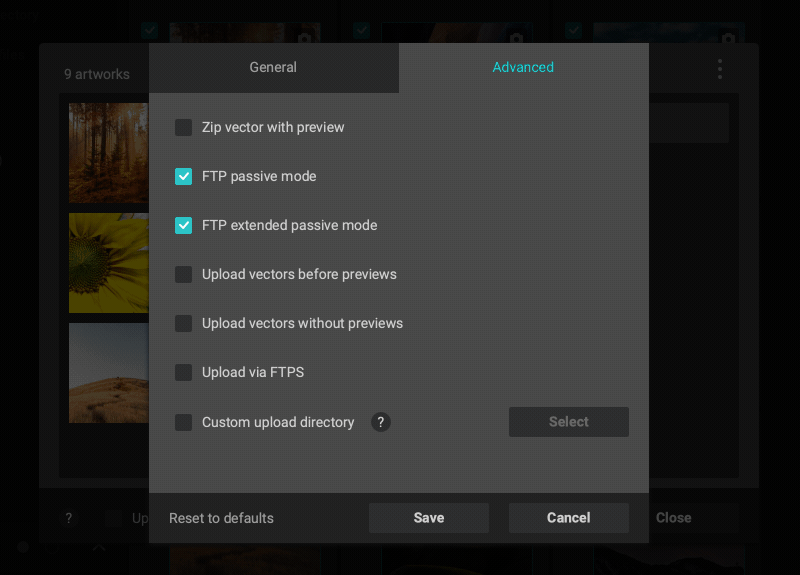 Custom FTP directories
